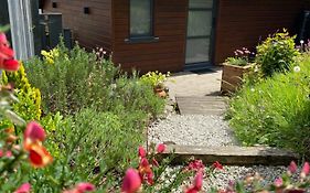 Cedar Lodge
